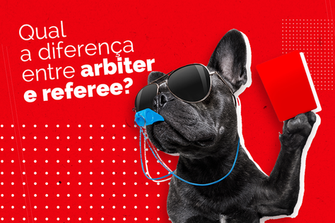 Qual a diferença entre arbiter e referee?