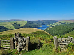 Field Boundary Dry Stone Wall, Derbyshire