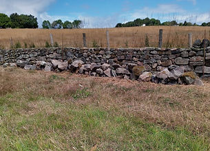 IMG-20250708-WA0013_edited.jpg
