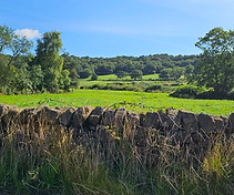 Dry Stone Wall, Derbyshire