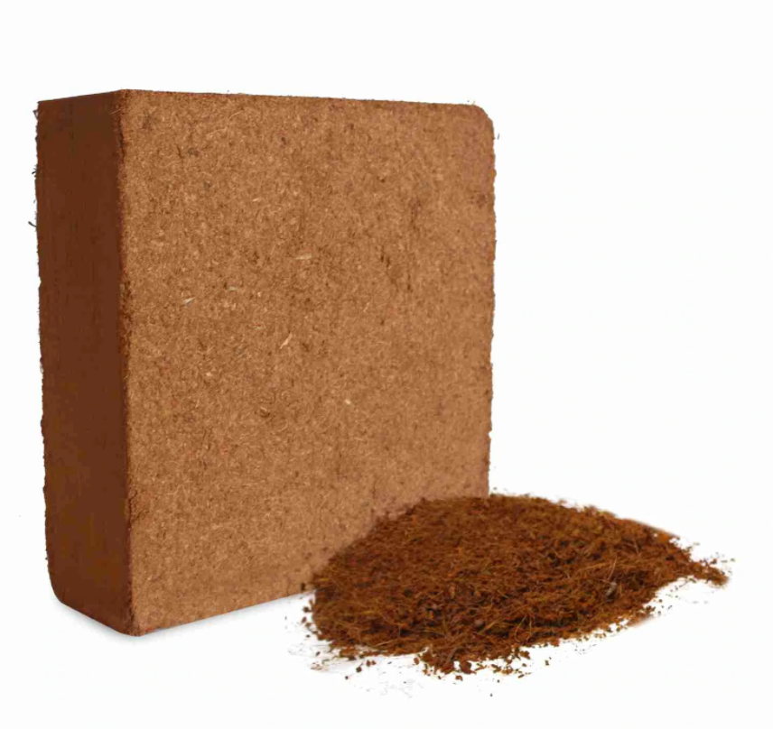 Preparation of cocopeat mixture for potting and seed germination content media
