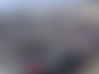 購入エージェントがサポートします!