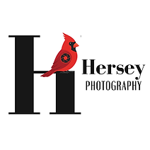 NEW Hersey Photo Logo.png