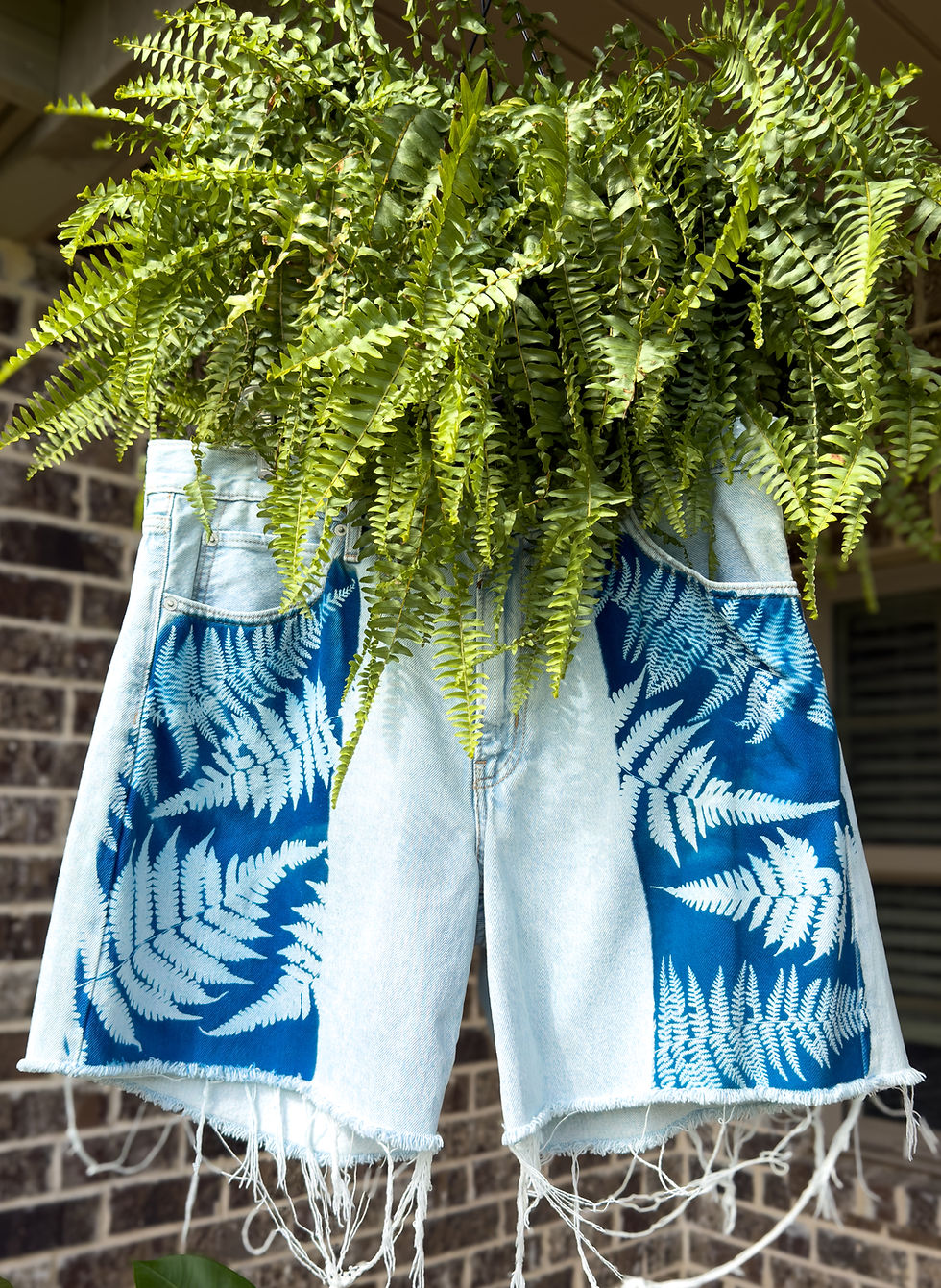 Thumbnail: Levi Shorts (32)