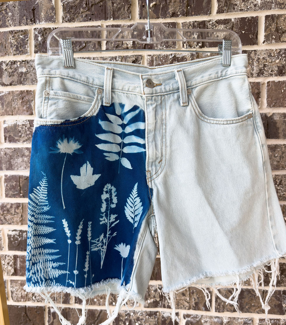 Thumbnail: Levi Shorts (28)