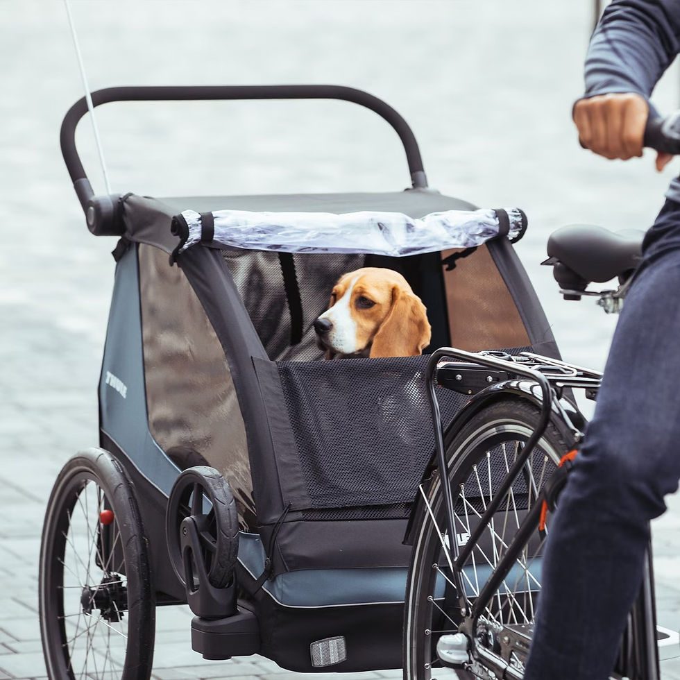 Thumbnail: Thule Courier 2-seat kids cargo bike trailer
