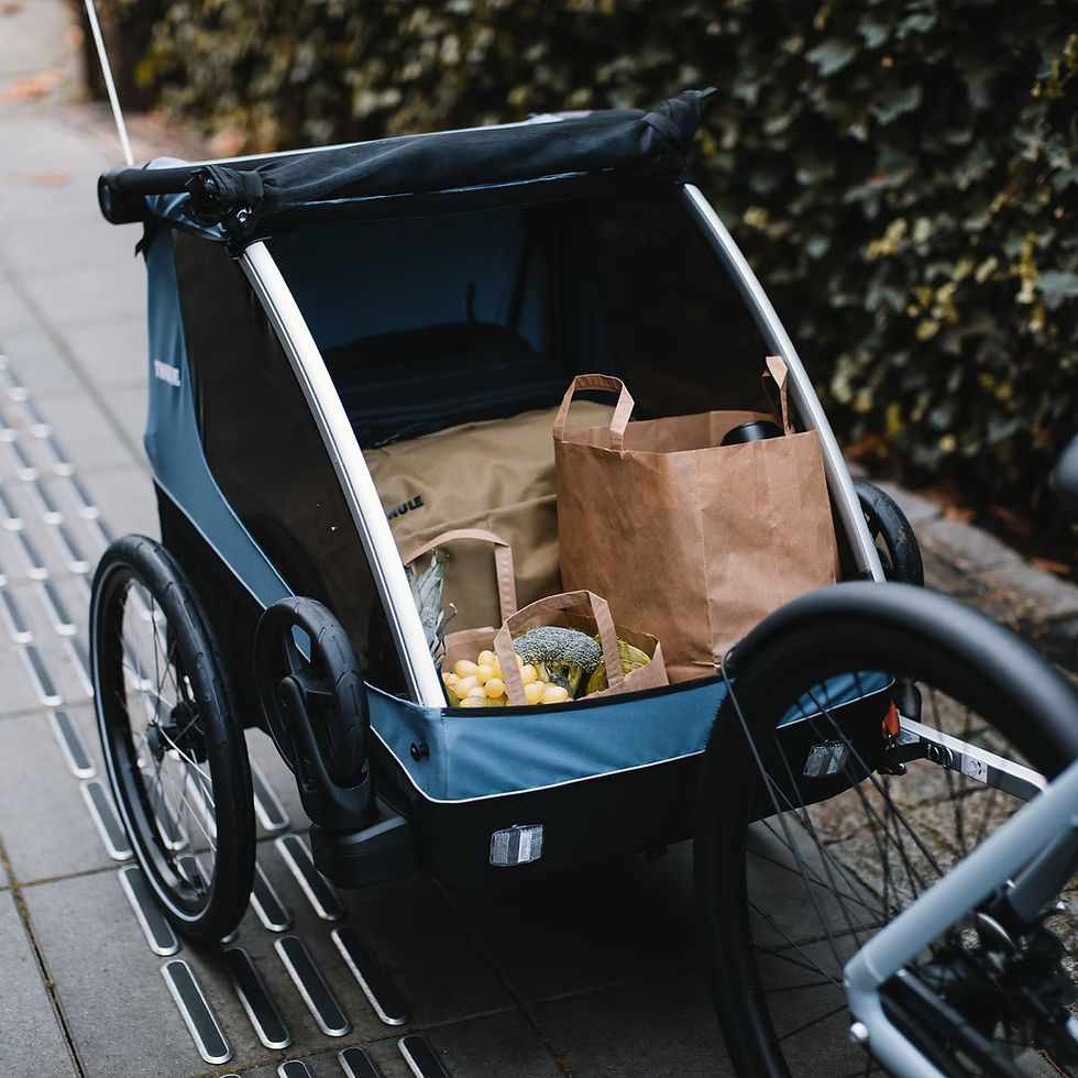 Thumbnail: Thule Courier 2-seat kids cargo bike trailer