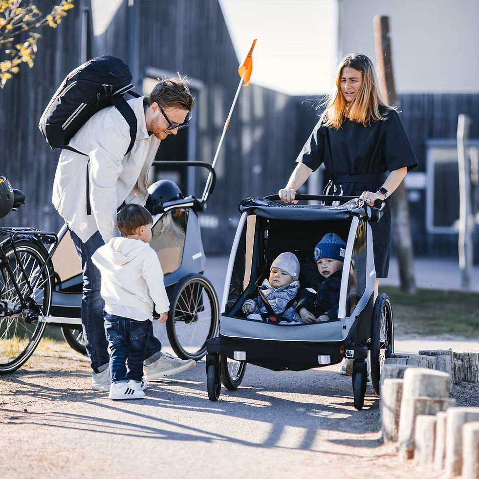 Thumbnail: Thule Courier 2-seat kids cargo bike trailer