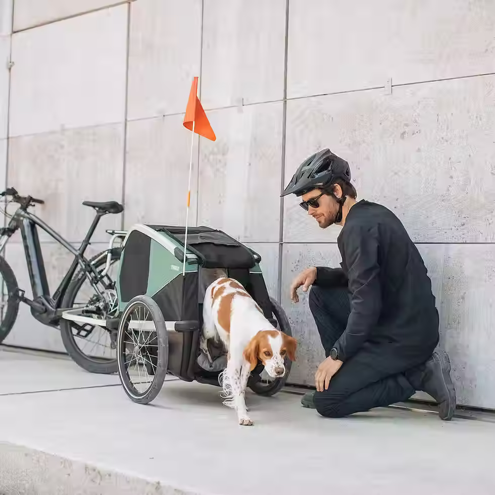 Thumbnail: Thule Bexey M dog bike trailer hazy green