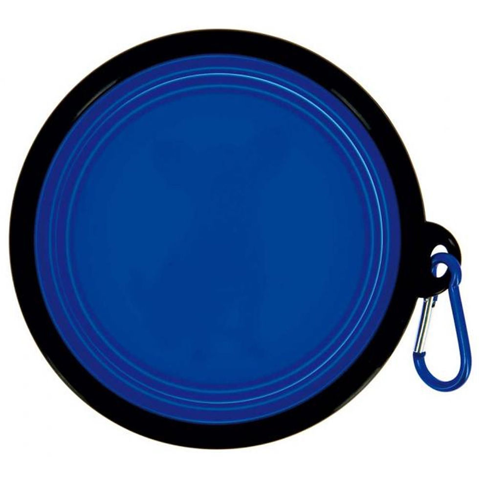 Thumbnail: FOLDABLE SILICONE BOWL