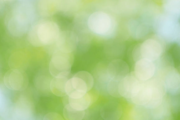 We Consulting | Marketing With Purpose | Food & Foodservice Packaging