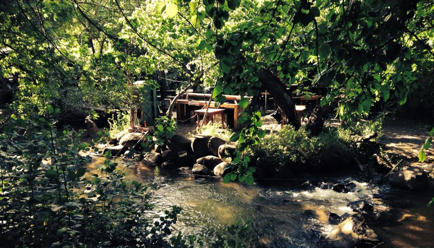 11156354_10206621042713542_5119405315675