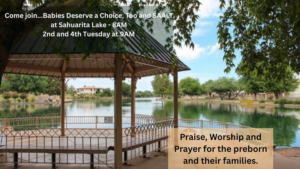 Pro Life Praise and Prayer in the Park