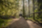 Walk and Talk Outdoor Therapy in East Vancouver