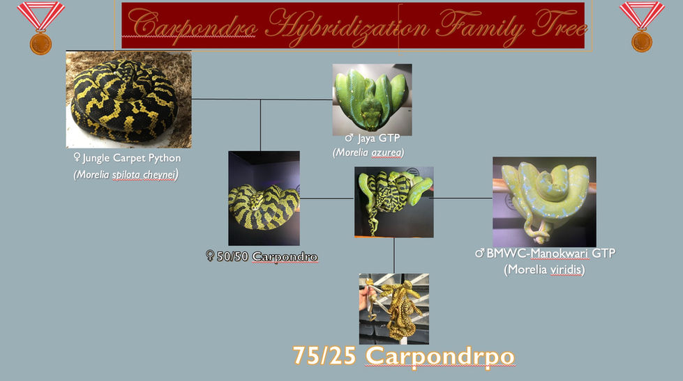 Image 8-30-24 at 12.15 AM