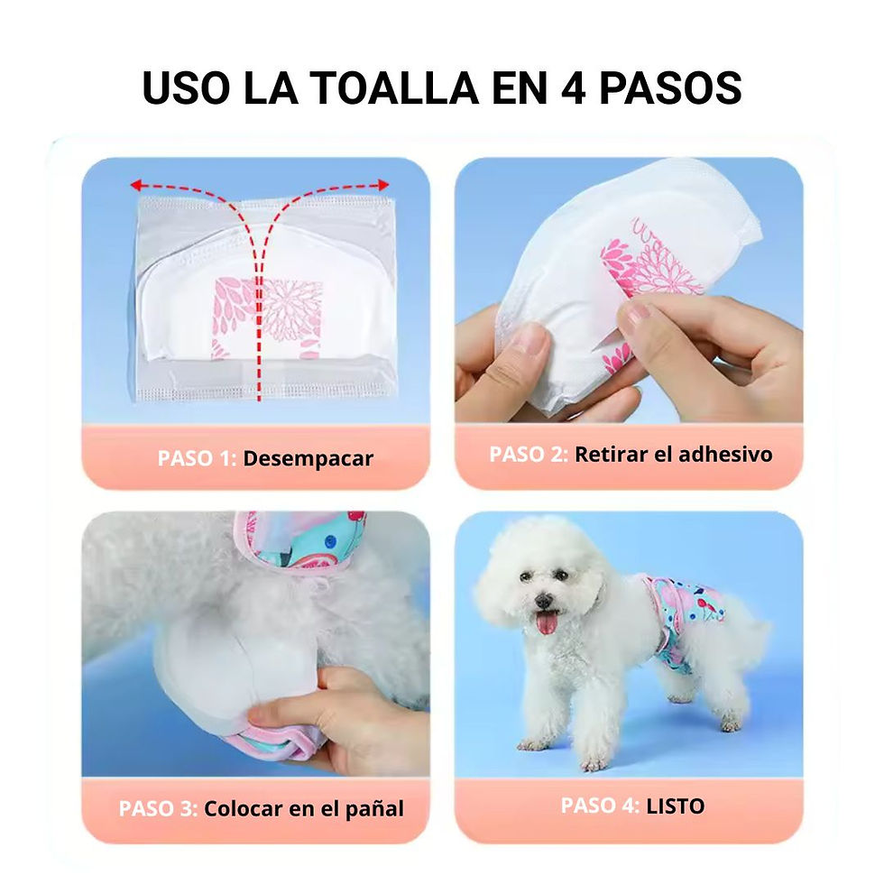 Miniatura: Pack X5 Unids Toalla Sanitaria
