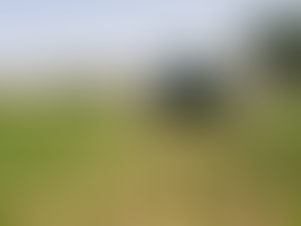 The State of Modern Farming: An Exercise in Insanity and Sleep Deprivation