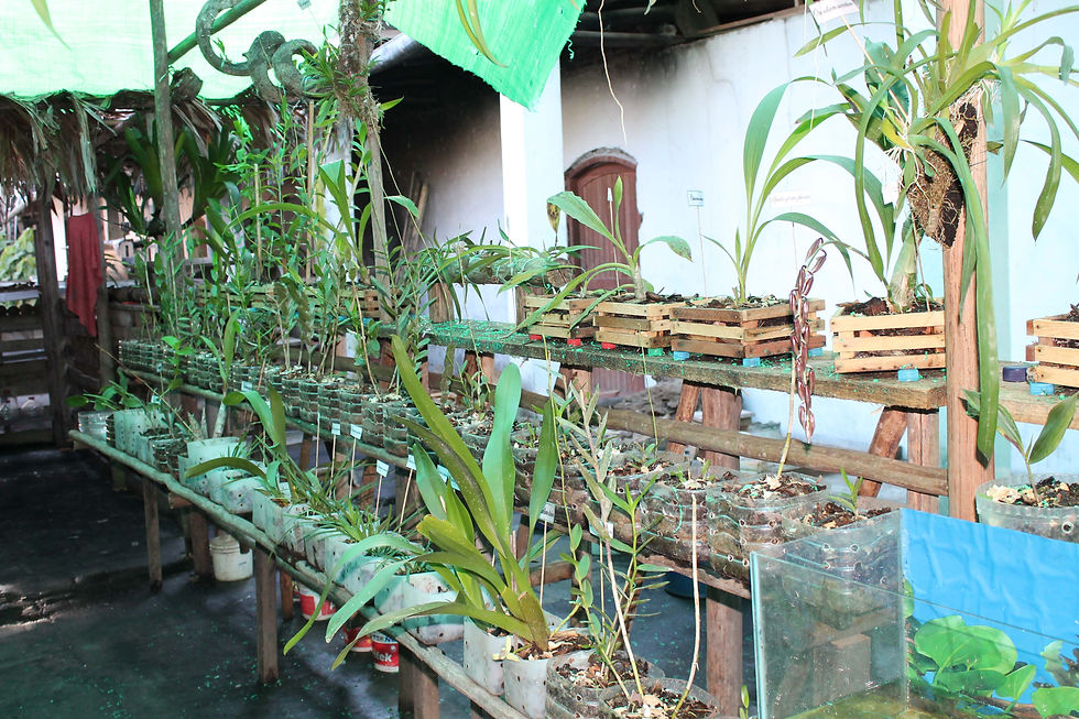 Nuestro Cuarto Vivero - año 2014