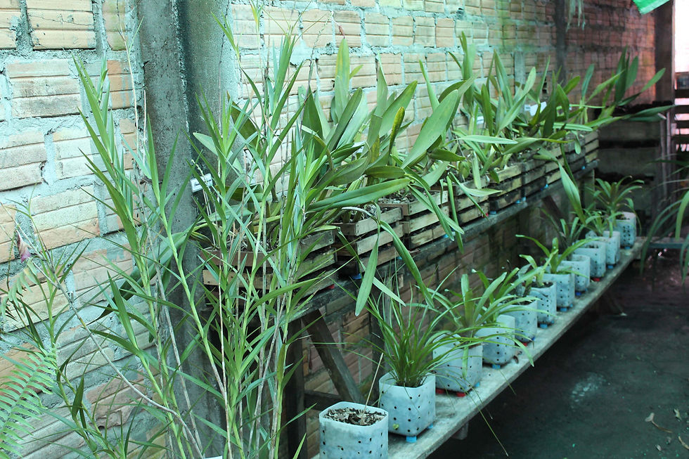 Nuestro Cuarto Vivero - año 2014
