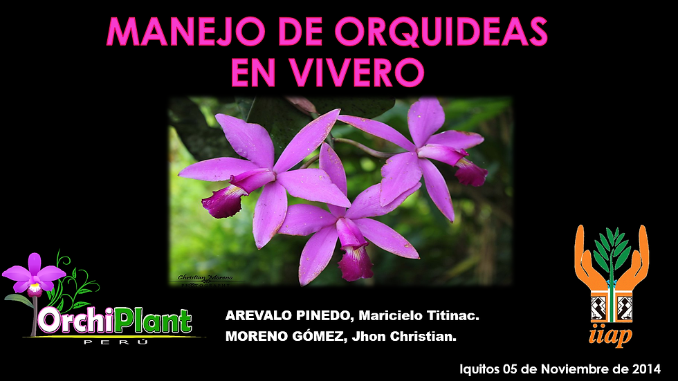 Tema de Conferencia: