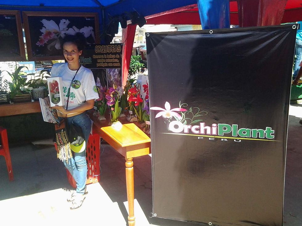 Feria Eco - Ambiental 2014