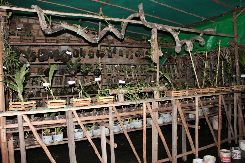 Nuestro Cuarto Vivero - año 2014