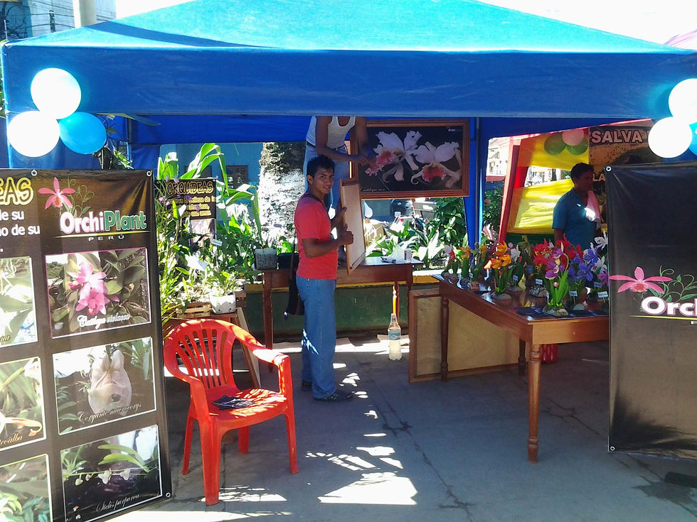Feria Eco - Ambiental 2014
