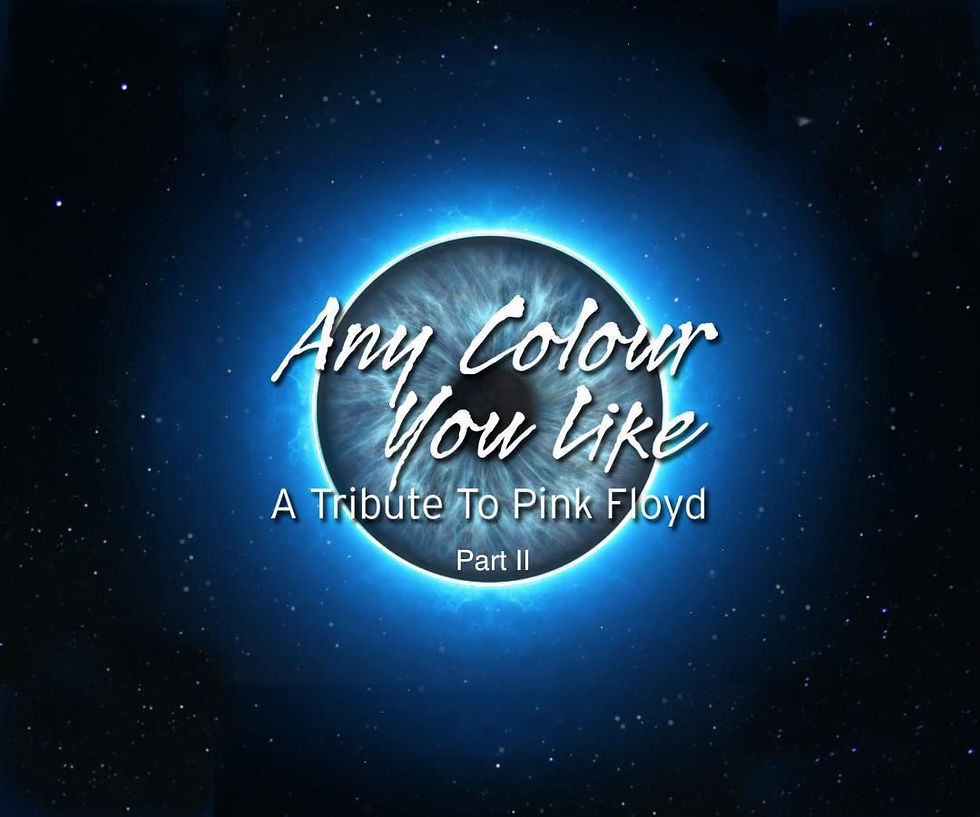 Any Colour You Like - A Tribute To Pink Floyd Part II
