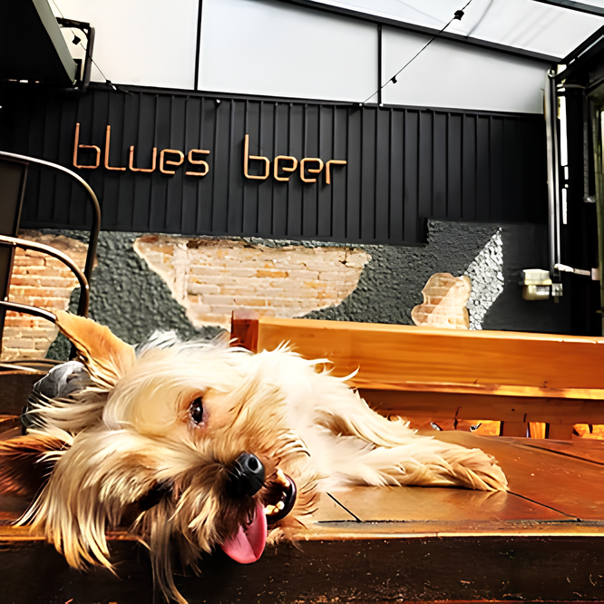 Pet-Friendly-Blues-Beer.png