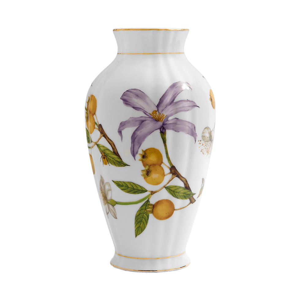 1002401343_Vaso_M_Alma_do_Cerrado.png