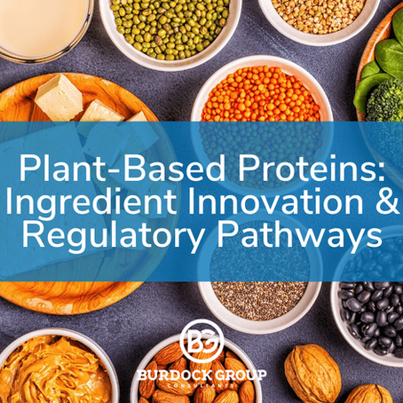 Plant-Based Proteins: Ingredient Innovation & Regulatory Pathways