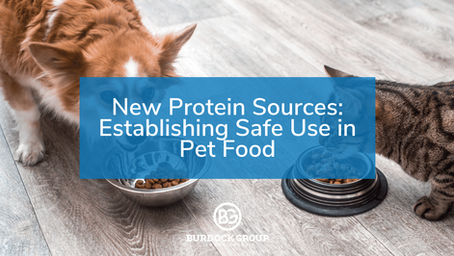 New Protein Sources: Establishing Safe Use in Pet Food
