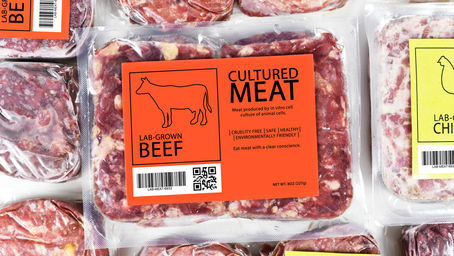 Safety and Regulation of Cell-Cultured Meat as a Food Product