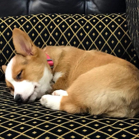 Burdock Group Welcomes New Chief Inspiration Officer