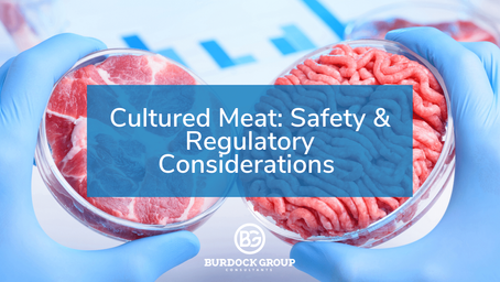 Cultured Meat: Safety & Regulatory Considerations