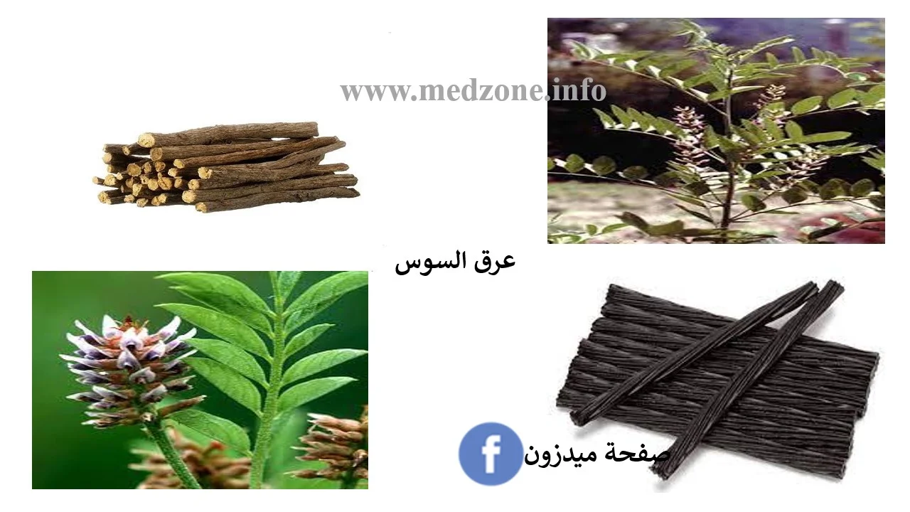 عرق السوس
