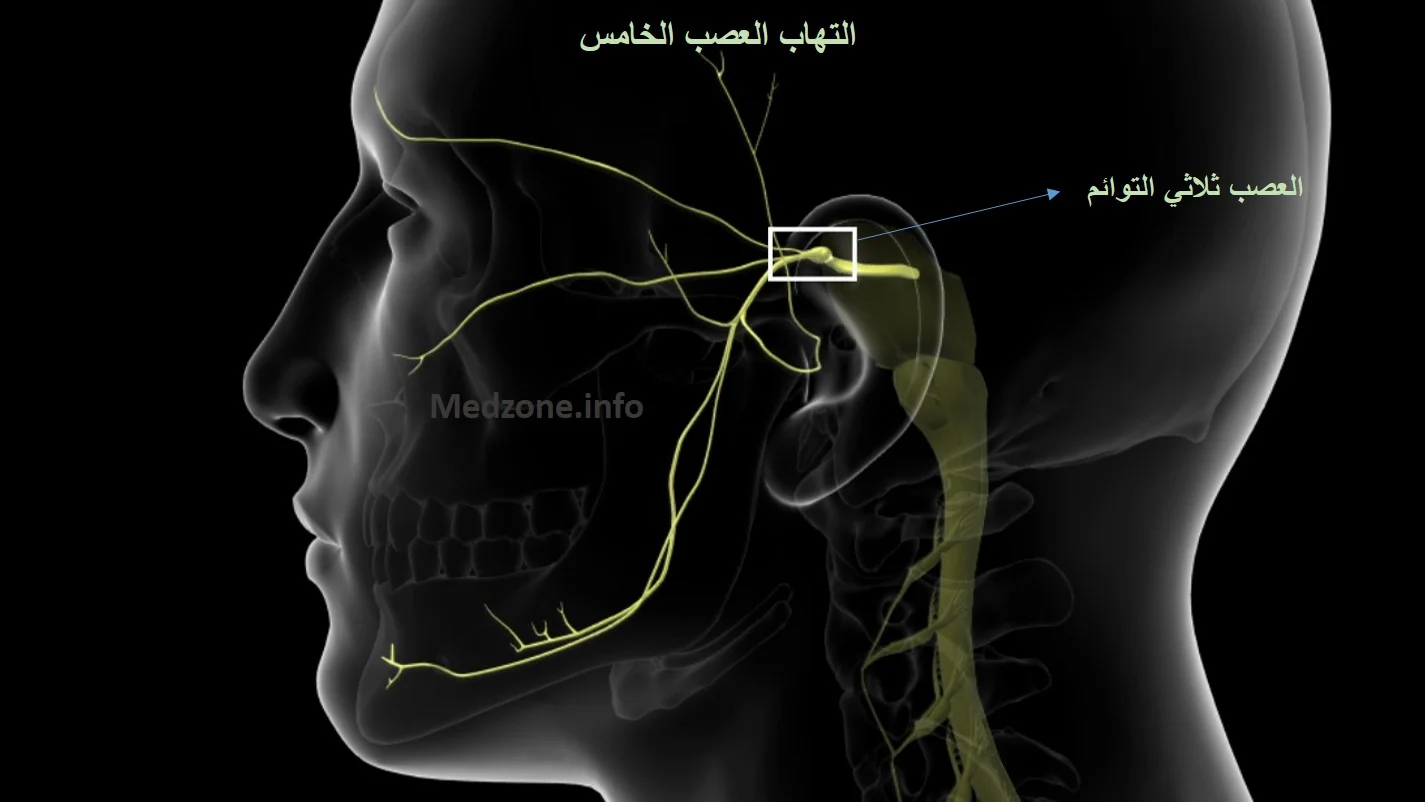 العصب الخامس