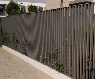 WhatsApp Image 2025-12-09 at 22.10.55.jpeg