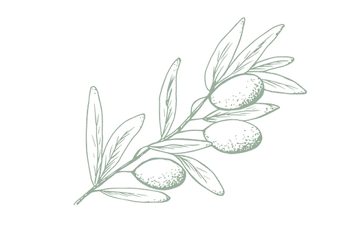Cream Minimalist Elegant Wedding Menu.png