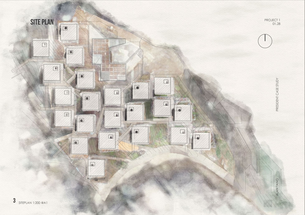 P1 final pamphlet spread_Page_03.jpg