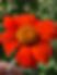 IMG_7398.jpeg