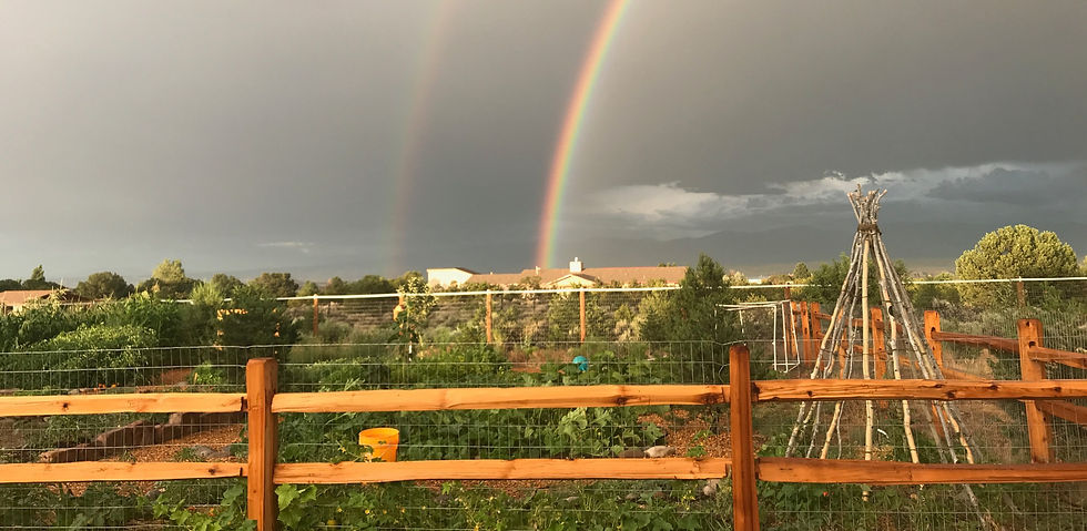 rainbow_1920_cropped.jpg