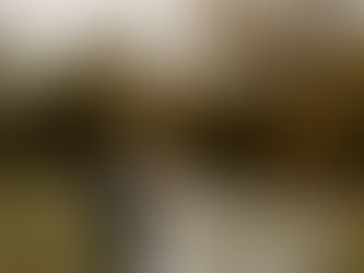 The Ultimate Guide to Wedding Planning