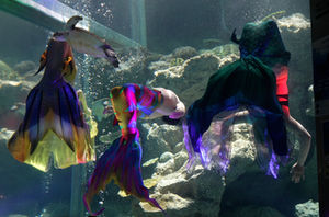 水族館 de マーメイド | OCEANZ（オーシャンズ） in 奄美