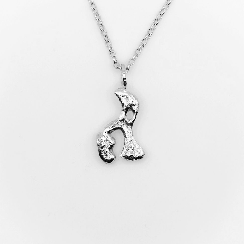 silver elephant african hippo elephant necklace wollaton nottingham