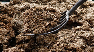 Manure-GettyImages-121831831-59d3cec5845