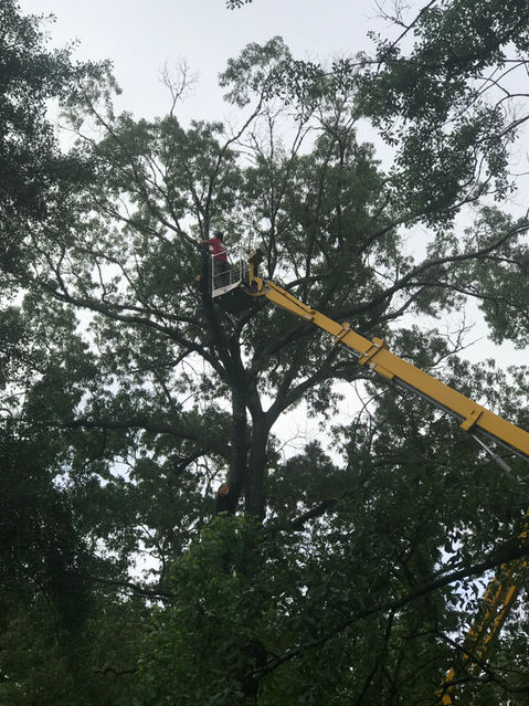 Photo May 22, 8 35 44 AM.jpg