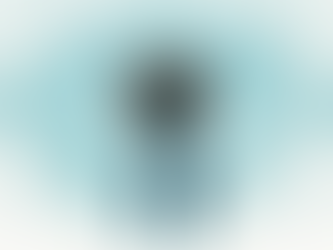 Trust and Networks in Private Security