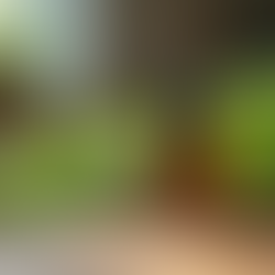 Eco Wellness Solutions for Everyday Health