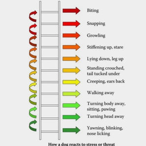 Dogs Bites & Body Language